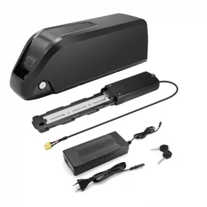 Batteria bici elettrica 48V 20Ah